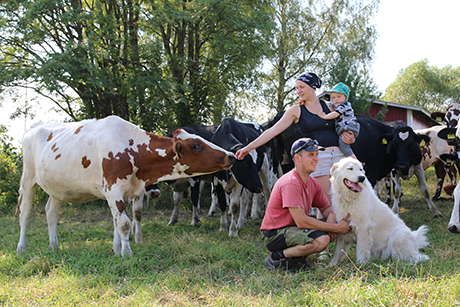 Hiehot laitumella Moon Milk Oy Hiehot laitumella Moon Milk Oy