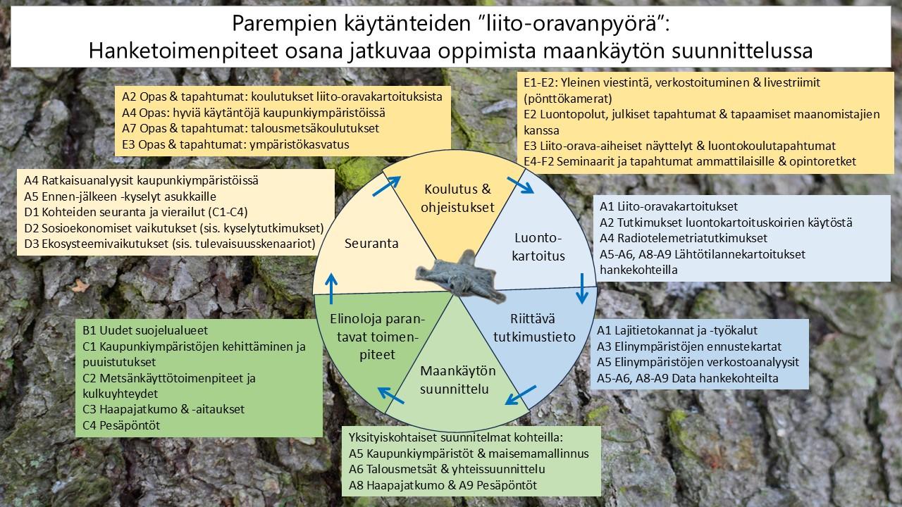 Liito-oravan hanketoimenpiteitä. Kuva: Metsähallitus