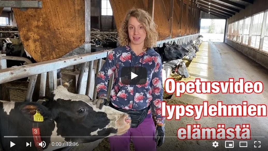 Anna Länsisalmi kertoo, miten lehmiä hoidetaan Keisalan tilalla