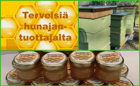 Toisena etäpakettina toteutettiin keväällä 2021 