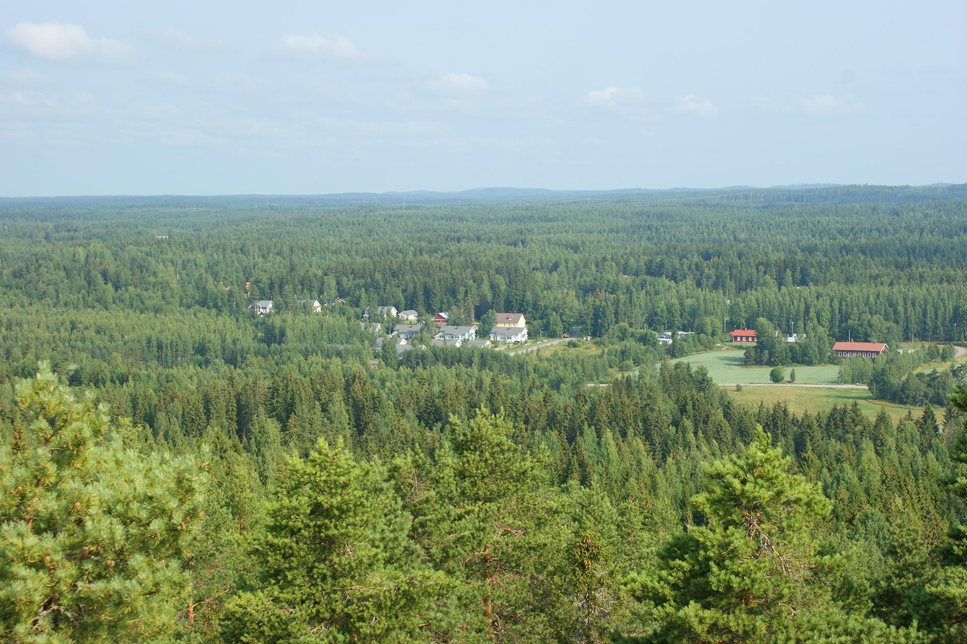 Forests and the forest sector provide significant welfare for Europe. The sector directly employs 500,000 people and has indirectly almost 3 million employees.