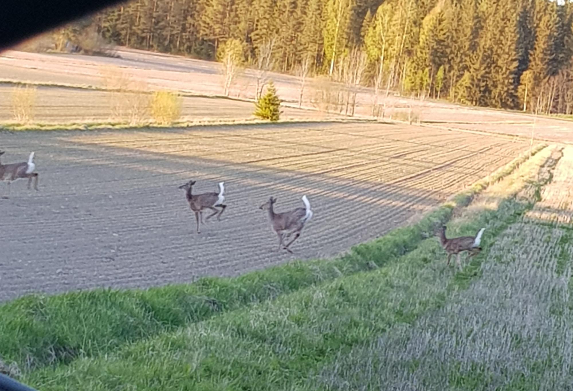 Kuva: Terhi Löfstedt, MTK-Varsinais-Suomi