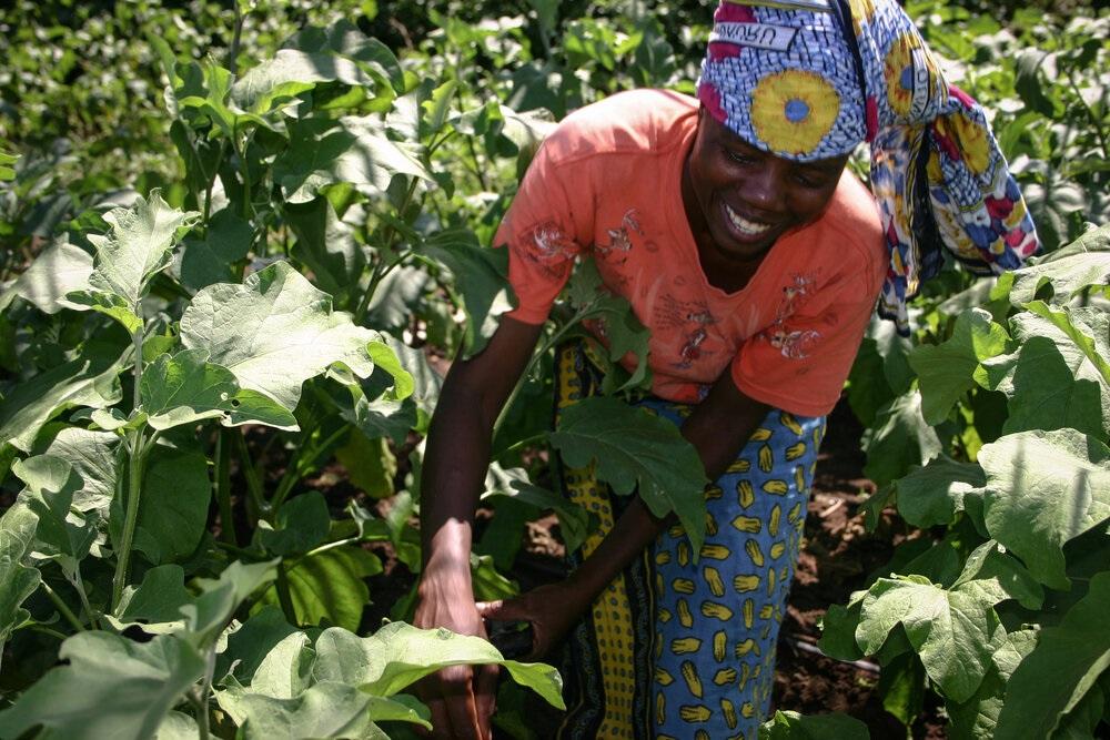 Kuva: Food and Forest Development Finland (FFD)