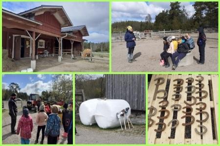 Toukokuussa 2022 oppilaat pääsivät tutustumaan Kittilän tallille, jossa kasvatetaan varsoja sekä vuokrataan pihattopaikkoja hevosille. Hevostilan arkeen tutustuttiin kolmella pisteellä, joissa kerrottiin kasvatustoiminnasta ja varsan elämästä, hevosten ruokinnasta sekä koneketjun havainnollistamana heinän viljelystä. Lounaseväänsä koululaiset söivät idyllisellä tallipihalla. Näiden lisäksi oli mahdollisuus tutustua hevosten hoitotarvikkeisiin ja hypellä keppihevosilla. Muistoksi oppilaat saivat onnenkengän eli tilalla käytetyn hevosenkengän.