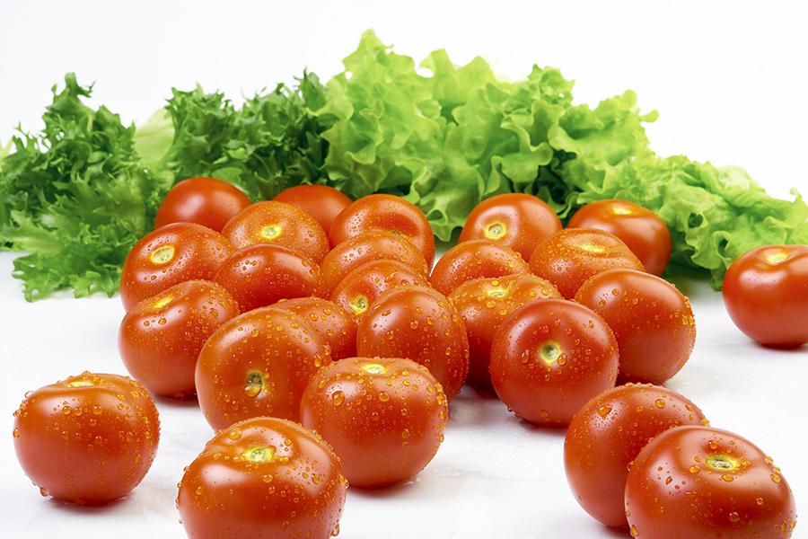 Kuva: Kauppapuutarhaliitto