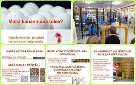 Marraskuussa 2022 tutustuttiin kananmunan tuotantoon tilalla Mistä kananmuna tulee -PowerPoint-esityksestä. Kananmunan matkaan edelleen kauppaan tutustuttiin vierailulla Munaxin pakkaamossa Laitilassa. Vierailulla nähtiin pakkaamon toimintaa ja kuultiin yrityksen kananmunista valmistamista elintarvikkeista sekä saatiin myös maistella niitä.